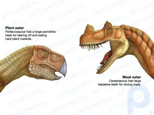 Respuestas a 5 preguntas sobre los dinosaurios