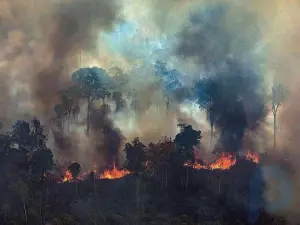 Una guía rápida de la jerga del cambio climático: qué entienden los expertos por mitigación, neutralidad de carbono y otros seis términos clave