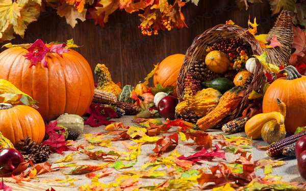 otoño, calabazas, cornucopia, gords, acción de gracias, hoja