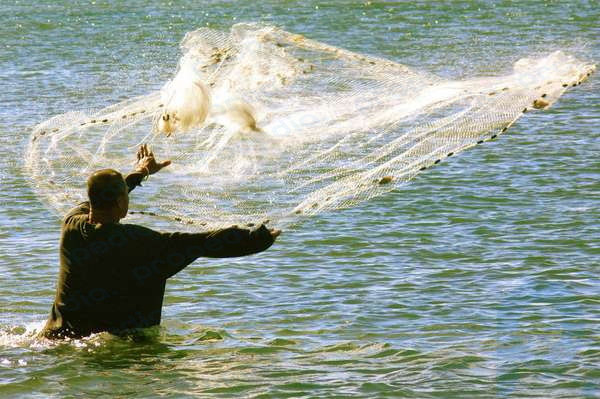 網で漁をする漁師。 (鋳物、網、漁獲、水産、工業)