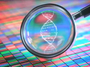 Secuenciación genómica: así es como los investigadores identifican omicrón y otras variantes de COVID-19