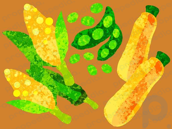 Иллюстрация летние овощи кукурузная фасоль тыква помидоры баклажаны