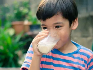Почему взрослые люди начали пить молоко?