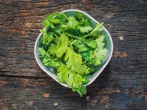 ¿Por qué algunas personas el cilantro sabe a jabón?