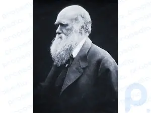Zusammenfassung von Charles Darwin: Erfahren Sie mehr über Charles Darwins Evolutionstheorien und sein berühmtes Werk „Über die Entstehung der Arten“: