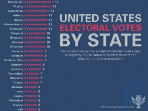Сколько голосов коллегии выборщиков имеет каждый штат США?