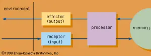 Information processing summary: Learn about information processing
