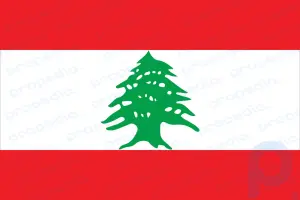 Resumen del Líbano: Explore las divisiones políticas, religiosas y socioeconómicas en el Líbano