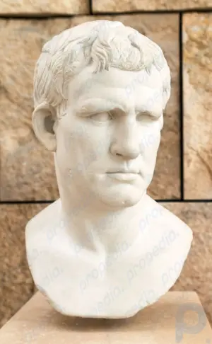 Resumen de Marco Vipsanio Agripa: Descubra el papel de Marco Vipsanio Agripa como diputado de Augusto