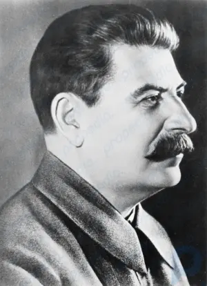 Joseph Stalin summary: Explore the political and military achievements of Joseph Stalin and his rise to power