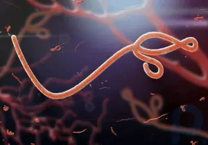Virus haqida xulosa: Viruslarning tuzilishi va xususiyatlari va ular keltirib chiqaradigan kasalliklar bilan tanishing