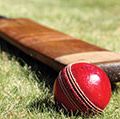 Kriket kaltak va to'p. kriket kriket sporti. Bosh sahifa blogi 2011, san'at va ko'ngilochar, tarix va jamiyat, sport va o'yinlar atletika