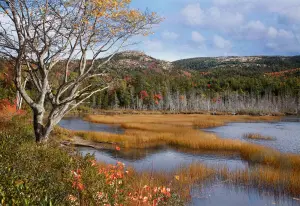 Acadia Milli Parkı: milli park, Maine, Amerika Birleşik Devletleri