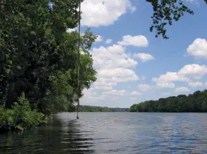 Alabama Nehri: nehir, Amerika Birleşik Devletleri