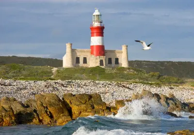 Agulhas Burnu: pelerin, Güney Afrika