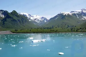 Alaska Körfezi: Körfez, Amerika Birleşik Devletleri