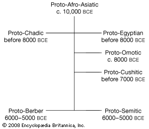 Afro-Asya protodilleri arasındaki ilişkiler.