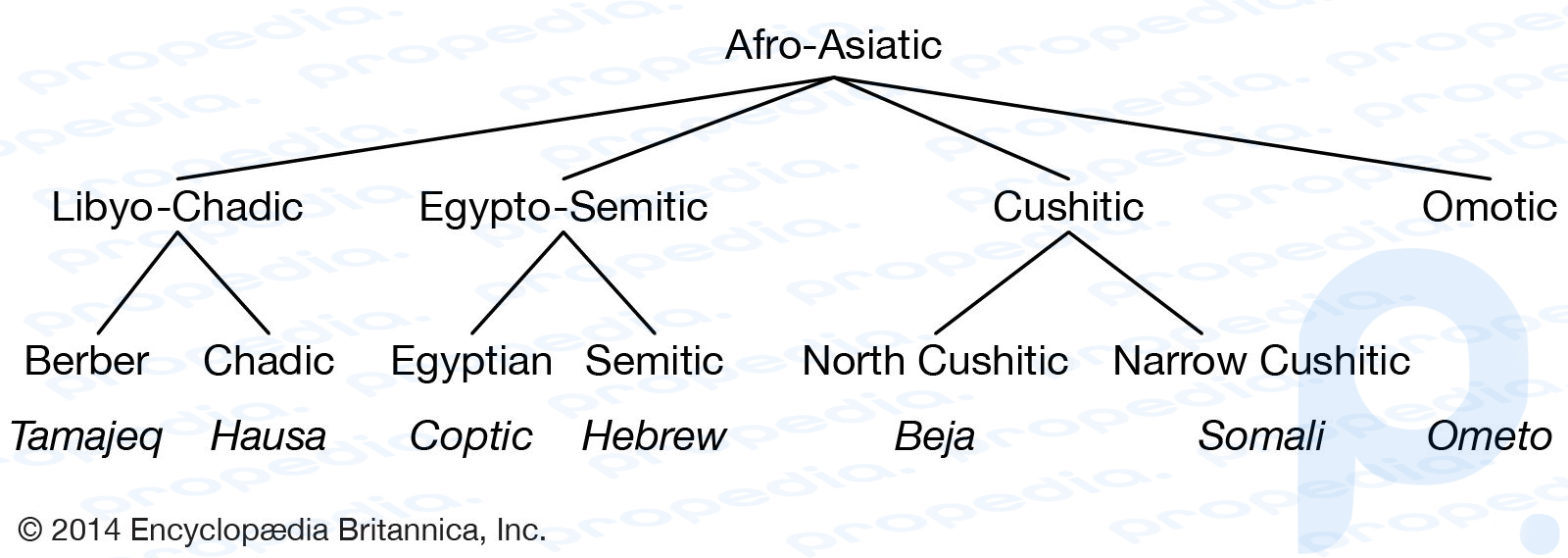 Modern Afro-Asya dilleri arasındaki ilişkiler.