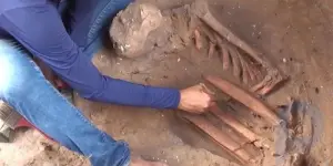 In Brasilien wurden Überreste von Jägern und Sammlern gefunden, die vor 10:000 Jahren lebten: