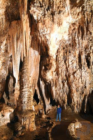 Carlsbad Mağaraları Ulusal Parkı