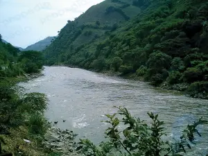 Cauca Nehri: nehir, Kolombiya