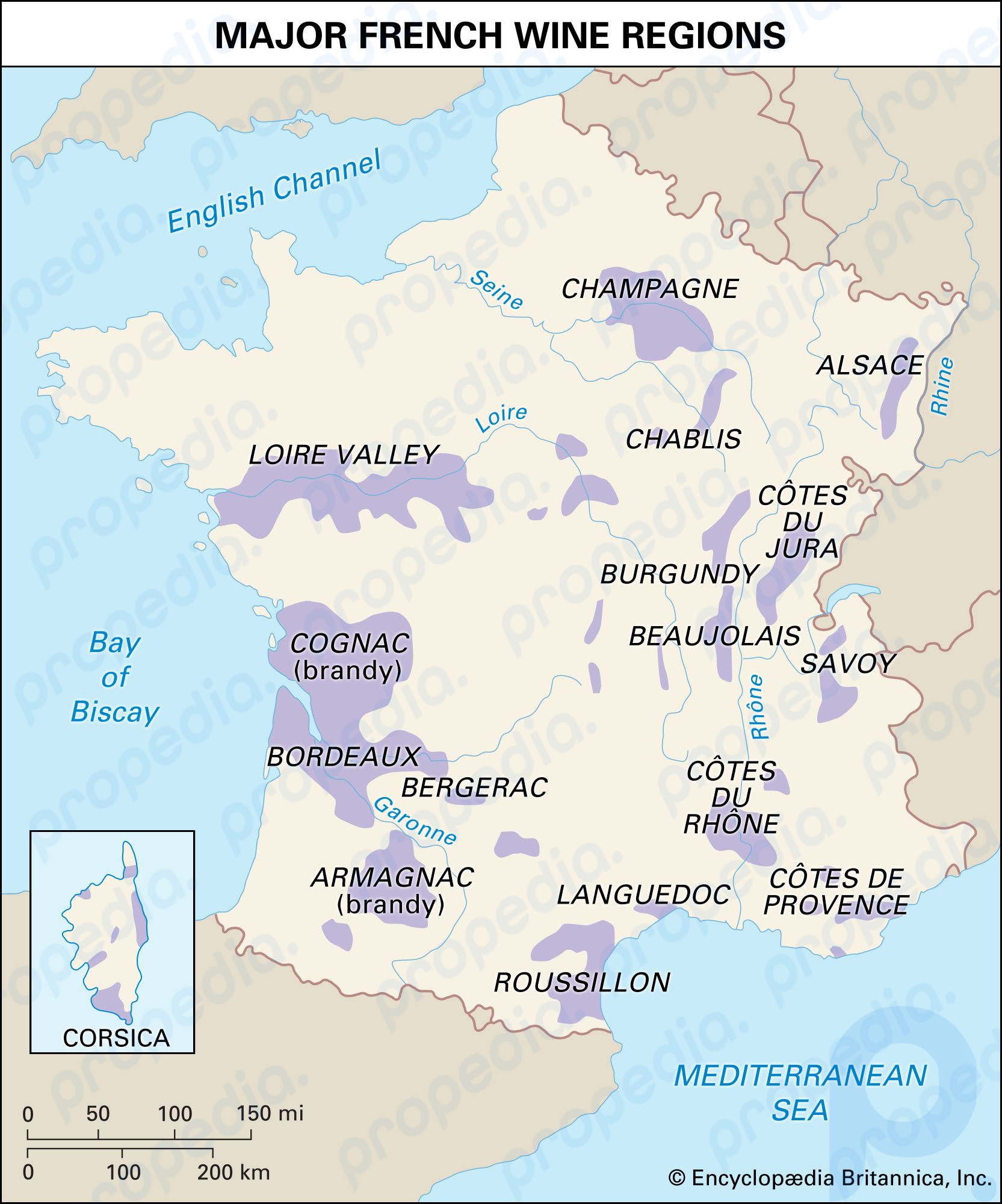 フランス: ワインの産地