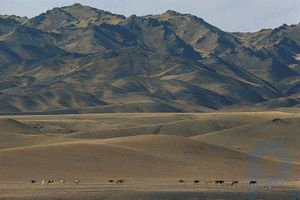 Moğolistan: Gobi Altay Dağları