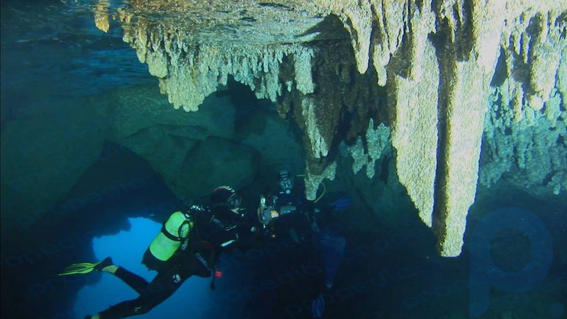 Çeşitli deniz yaşamı hakkında bilgi edinmek için bilim adamlarının Fransa'daki Parc National de Calanques'in su altı mağaralarını keşfettiğini görün