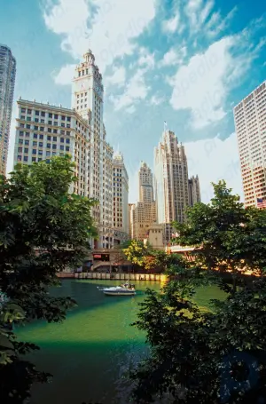 Chicago Nehri: Nehir, Illinois, Amerika Birleşik Devletleri