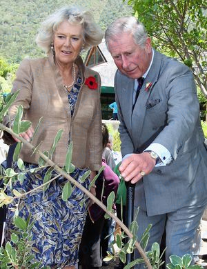 Prens Charles ve Cornwall Düşesi Camilla