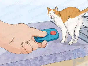Cómo mantener a un gato alejado de la estufa