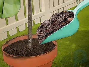 Çim Biçme Makinesiyle Yapraklar Nasıl Malçlanır?