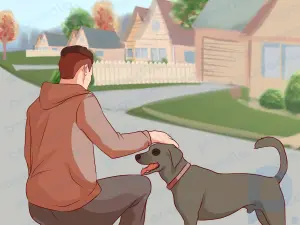Wie man die Angst vor Hunden überwindet
