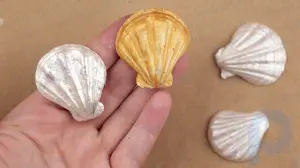 Como pintar conchas do mar