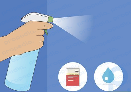Step 4 Use a spray bottle of trisodium phosphate and water to clean the surface.