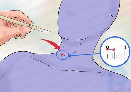 Étape 3 Faites une coupe horizontale d'un demi-pouce d'environ un demi-pouce de profondeur.