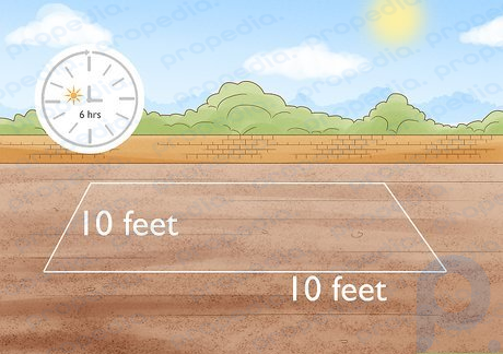 Step 1 Choose a large spot that receives at least 6 hours of full sunlight.