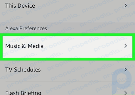 Step 3 Tap Music & Media.