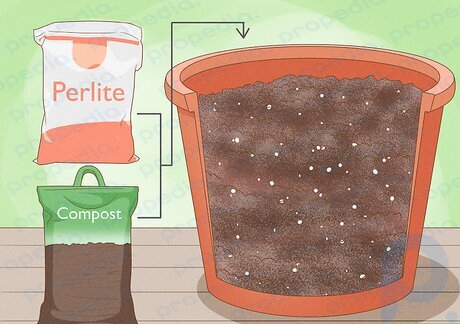 Schritt 3 Bearbeiten Sie den Boden mit Perlit und Kompost.