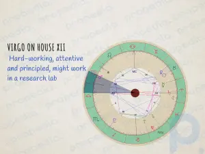Die 12 Häuser in Ihrem astrologischen Geburtshoroskop erklärt
