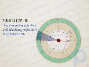 As 12 casas em seu mapa astrológico de nascimento explicadas