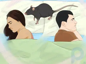 ¿Qué significa cuando sueñas con ratas?