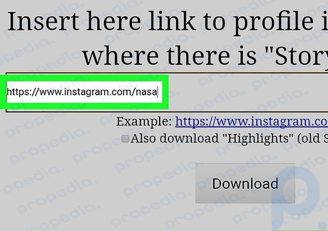 Paso 2: Escribe el enlace completo al perfil de Instagram desde el que deseas descargar.