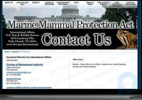 Step 3 Encourage your congressional leader to strengthen the Marine Mammal Protection Act