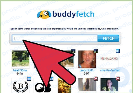 5-qadam BuddyFetch.com saytini sinab ko'ring.