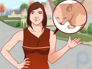 Как перестать бояться кошек
