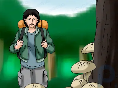 Wie man überlebt, wenn man sich im Wald verirrt