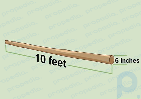 Paso 2 Busque una rama de 3 m (10 pies) de largo y de 7,6 a 15,2 cm (3 a 6 pulgadas) de grosor.