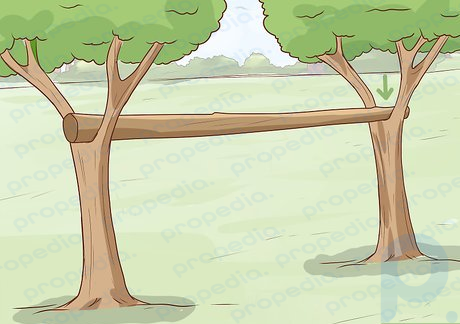 Paso 4 Coloque el otro extremo de la rama en la división del otro árbol.