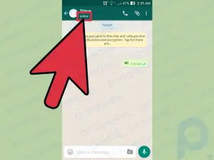 誰かが WhatsApp でオンラインかどうかを確認する方法